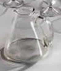 Rene Lalique Pitcher Arbois