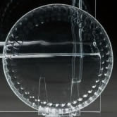 Rene Lalique Blois Plate