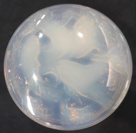 Rene Lalique Box Cyprins
