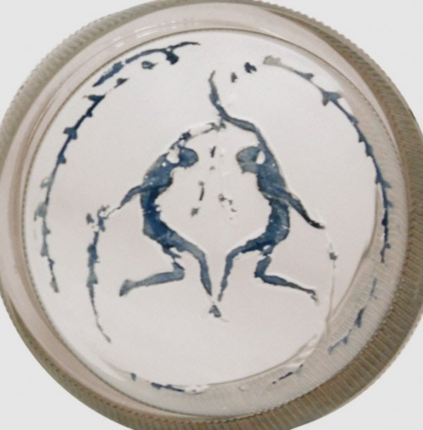 Rene Lalique Deux Figurines et Branches Box