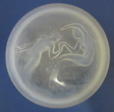 Rene Lalique Powder Box Deux Sirenes Small
