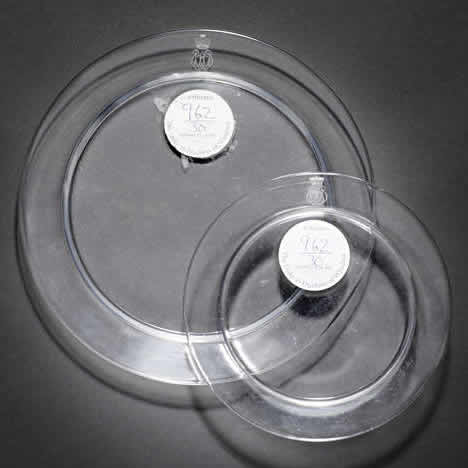 Rene Lalique Duke and Duchess of Windsor Plate