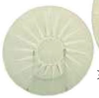 Rene Lalique Plate Epis