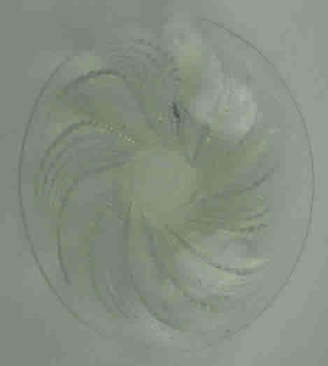 Rene Lalique Bowl Fleurons