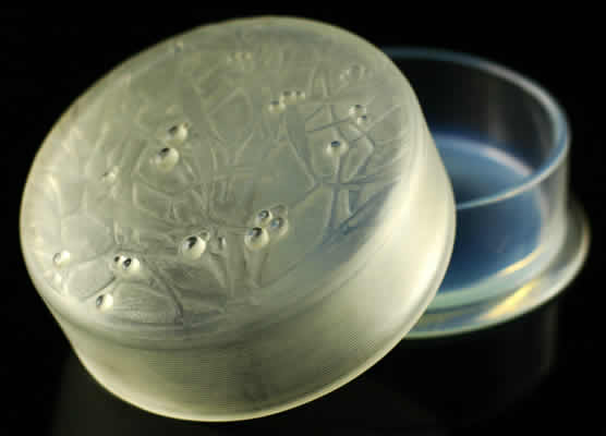 Rene Lalique Box Gui