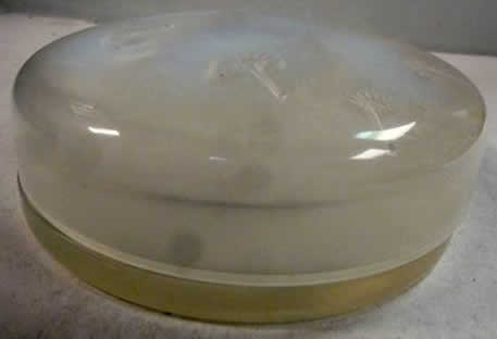 Rene Lalique Powder Box Houppes