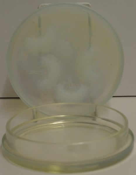 Rene Lalique Houppes Box