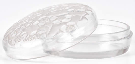 Rene Lalique Box Le Lys