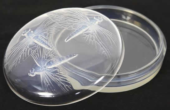 Rene Lalique Box Libellules