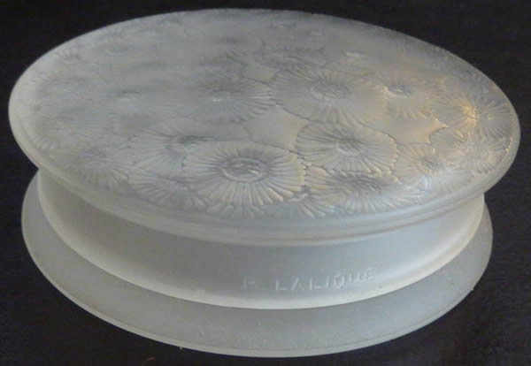 Rene Lalique Box Marguerites