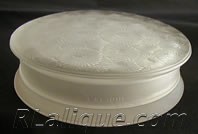 Rene Lalique Marguerites Box