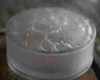 Rene Lalique Covered Box Meudon