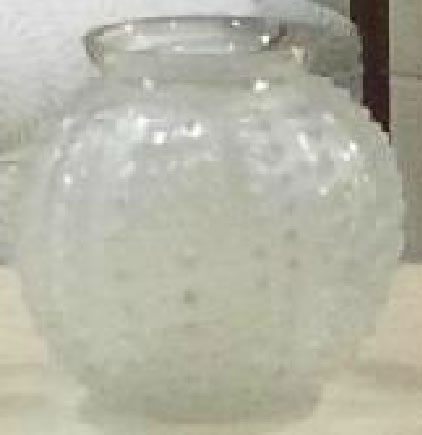 Rene Lalique Vase Oursin