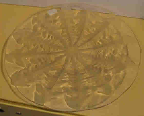 Rene Lalique Plate Pissenlit