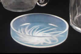 Rene Lalique Box Quatre Flacons