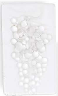 Rene Lalique Menu Raisin Chasselas