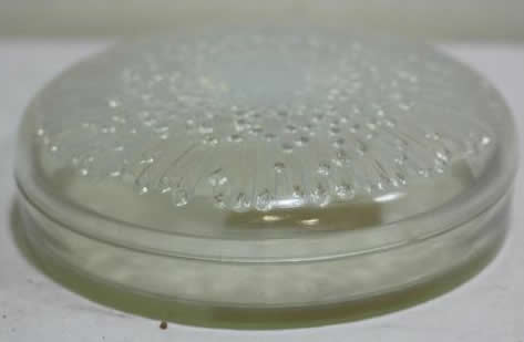 Rene Lalique Box Tokio