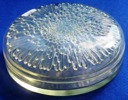 Rene Lalique Box Tokio