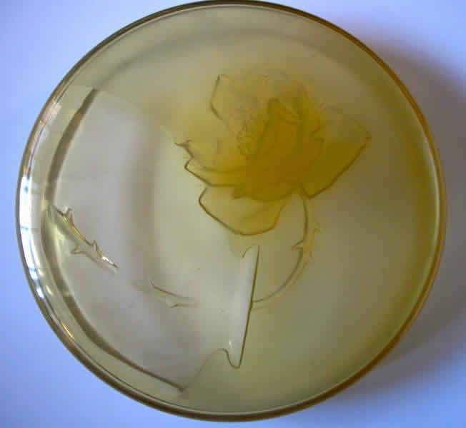 Rene Lalique Box Une Rose
