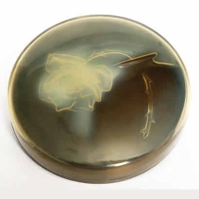 Rene Lalique Une Rose Box