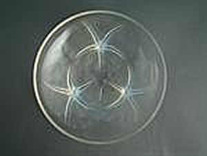 Rene Lalique Bowl Volubilis