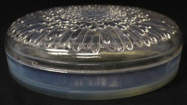 Rene Lalique Box Tokyo