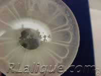 Fake R Lalique  Signature - Forged R Lalique Signature