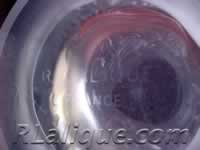 Fake R Lalique  Signature - Forged R Lalique Signature