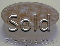 R Lalique Boxes Marguerites